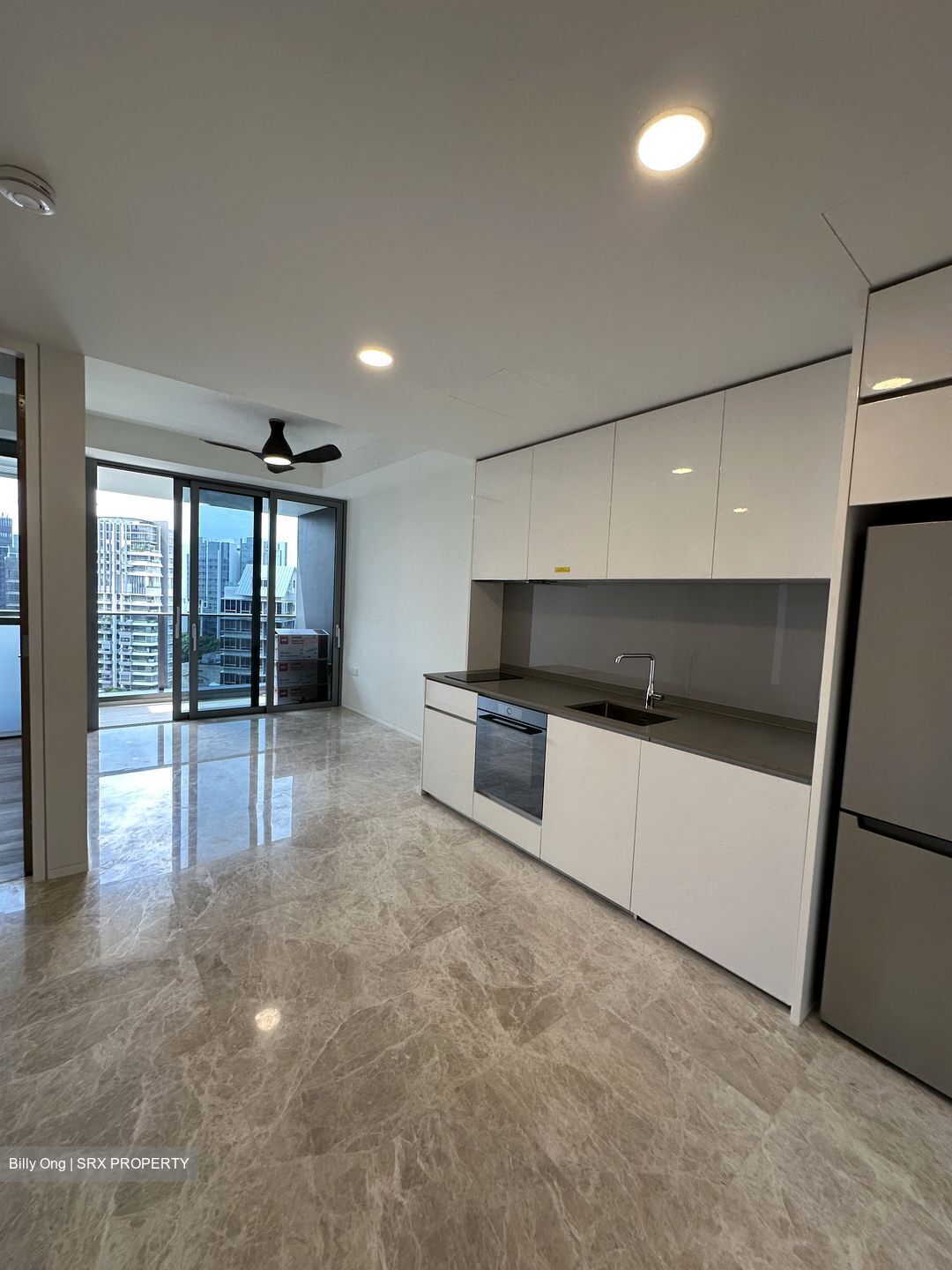 Amber Park (D15), Condominium #433750401